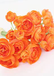 Artificial Ranunculus Bundle In Orange 11 Yellow Rose Flower Orange Wedding Flowers Wholesale Flowers Wedding