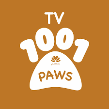 1001 Paws Animal Shelter TV - YouTube