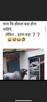 See more ideas about jokes images, jokes, jokes in hindi. Whatsapp Funny Messages In Hindi Download Hindi Shayari