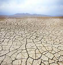 Image result for dry desert