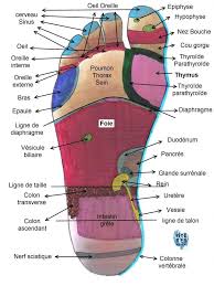 Pied Droit Acupression Reflexologie Oreille Massotherapie