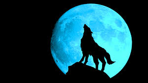 Cool Wolf Desktop Wallpaper 2021 Cute Wallpapers Women, fantasy girl, wolf, white, white hair, headband, windy. cool wolf desktop wallpaper 2021 cute