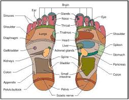 Reflexology Or Zone Therapy Reflexology Is The Practice Of