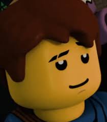 Is Jay ginger or does he have brown hair? I always thought he had brown  hair, but he has ginger hair in the sets. : r/Ninjago