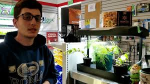 Maybe you would like to learn more about one of these? Sunblaster Nano Dome And Grow Light Garden Youtube