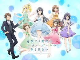 Light novel seishun buta yarou vol 10 bahasa indonesia. Ulasan Anime Seishun Buta Yarou Wa Bunny Girl Senpai No Yume Wo Minai Kaori Nusantara