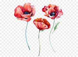Pin On Png Images