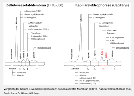Eintrag Leistungsverzeichnis Labor Dr Gartner