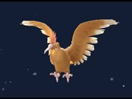 Pokemon Go Spearow Evolving Into Fearow