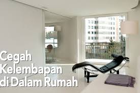 Sebaliknya, sirkulasi udara yang buruk dapat membahayakan kesehatan anda. Cegah Kelembapan Di Dalam Rumah Atur Sirkulasi Udara Dengan Baik
