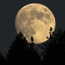 Der mond hat nach genau 15 tagen die hälfte seiner umlaufbahn hinter sich gelassen. Endlich Verstehen Warum Kann Man Bei Vollmond Schlechter Schlafen Geo