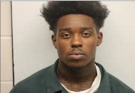 Port Wentworth police make arrest during evacuation patrols