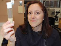 Why Do Fruit Flies Take Naps? NHLBI Investigator Studies Connections  Between Sleep Patterns and Gene Networks in Fruit Flies