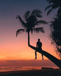 Pasut Beach Best Sunset Spot In Bali Palm Tree Lined Sunset Near Canggu Best Sunset Bali Sunset Bali Beaches