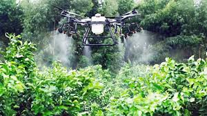 images?q=tbn:ANd9GcSi55BlTJfBFWUjsF97rNEmha_fKwfNz8DlYQ&s