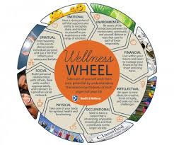 Dimension refers to measurement of areas and objects. The Wellness Wheel Health Wellness