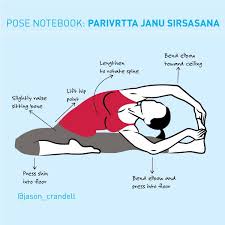 Parivrtta Janu Sirsasana Revolved Head To Knee Pose Vinyasa Yoga Yoga Anatomy Yoga Asanas