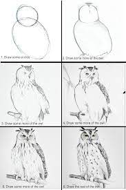 Draw an owl meme