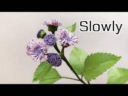 Abc Tv How To Make Ageratum Paper Flower Slowly Craft Tutorial Youtube Paper Flowers Paper Flower Crafts Craft Tutorial