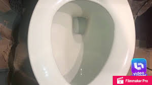 Applying dish soap on a regular basis will decrease the chances of potential clogging. Slow Flush Toilet And Dawn Ultra Dish Soap Youtube