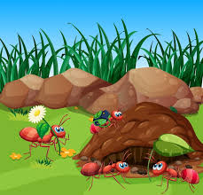 Image result for tbn:ekRZeqiUkU8b5M::www.hormiga.org/fondosescritorio/wallpapers/Paisajes-y-naturaleza/fotos/Paisajes-22.jpg