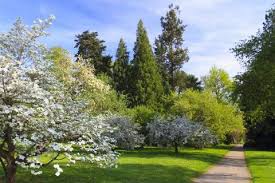 Uni Hohenheim Fotos Imago Images