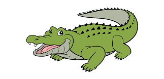 You can edit any of drawings via our online image editor before downloading. How To Draw Alligator Easy Drawing Of Crocodile Transparent Png Download 5516105 Vippng