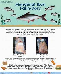 The proximity of tanjung balai to singapore means that. Kemenhub Ri On Twitter Siapa Suka Ikan Patin Dory Ikan Patin Adalah Salah Satu Jenis Ikan Air Tawar Yg Paling Banyak Dikonsumsi Oleh Masyarakat Indonesia Kandungan Vitamin Mineral Ikan Patin Sangat Bermanfaat
