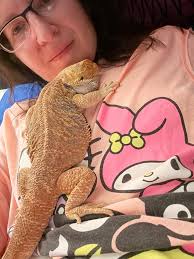 We will not go quietly into the night .