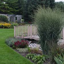 Lawn seed, turf grass seed, and premium prairie wildflower seed mixes for large and small landscaping projects. Prairie Winds Totem Pole Switch Grass Panicum Virgatum Proven Winners