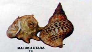 Alat Musik Fu Maluku Utara Artikel Musik Indie