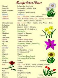 Writing Symbolism Of Flowers Pansies Flowers Poppy Flower Meaning Orchid Meaning