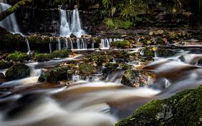 Campsie is 11 kilometres south west of the sydney central business district, on the. Campsie Glen 1 Great Spots For Photography