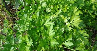 Forecast Jackpot Lotto 5x36 2016 Forecasting 3 5 Lottery Syndicate 4 5 506 Jackpot Lottery Syndicate