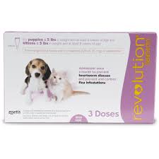 Many cat owners do not realize how important heartworm prevention is for cats. Revolution Topical Solution For Puppies And Kittens Up To 5lbs 3 Month Supply Petco