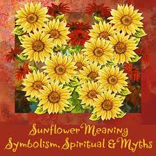 Flowers can convey all sorts of emotions and in a dream this is no different. What Is The Meaning Of A Sunflower Symbolism Spiritual And Myths