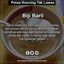 Jika kondisi ini mengganggu kehidupan seharian, anda boleh berjumpa doktor untuk sesi konsultasi. Petua Semulajadi Penawar Kencing Kotor Tak Lawas Facebook