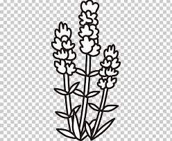 Check spelling or type a new query. Black And White Monochrome Painting Line Art Lavender Png Clipart Black And White Branch Flora Flower