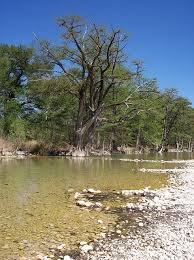 despite the drought texans are still tubing stateimpact texas