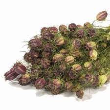 Jul 14, 2021 · if you harvest bells of ireland for fresh or dried bouquets, wear gloves to protect your hands from the small spiny thorns that grow along the stems. Buy Dried Flowers Ireland Buy Dried Flowers Wholesale Uk