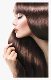 View our latest collection of free hair png images with transparant background, which you can use in your poster, flyer design, or presentation. Hair Salon Png Hd Transparent Hair Salon Hd Png Images Mulher Cabelo Liso Png Png Download Transparent Png Image Pngitem