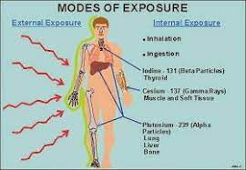 Humans add uranium metals and compounds, because they are released during mining and milling processes. Humans Animals Vegetals Mutations Dna Nuclear Effects On Health Chernobyl Fukushima Irak Diagnostic Imaging Health And Safety Radioactive Iodine