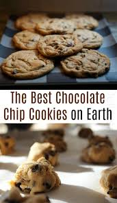The Best Chocolate Chip Cookies On Earth One Hundred Dollars A Month Chocolate Chip Recipes Best Chocolate Chip Cookies Recipe Cookies Recipes Chocolate Chip