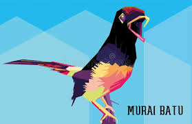 Gambar kartun burung kacer kata kata. Murai Stock Illustrations 19 Murai Stock Illustrations Vectors Clipart Dreamstime