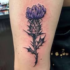This is the ultimate scottish thistle tattoo that you will like if you love brighter elements or sleeve designs. The Top 71 Best Scottish Tattoo Ideas 2021 Inspiration Guide