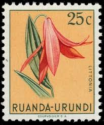 Image result for Littonia