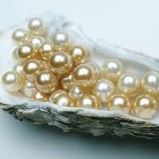 Where do pearls come from? Identifying Pearls Used In Antique And Vintage Jewelry
