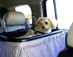 The Original Zoe Dog Car Seat Biggest Carseat On Ebay Dog Car Seats Dog Car Booster Seat Diy Dog Stuff