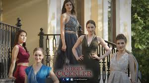 45 Mejores Novelas Turcas En Espanol Y Subtituladas 2020 En 2020 Series Y Novelas Novelas Celebridades