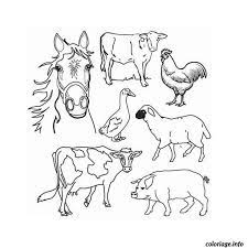 12 prestigieux coloriage a imprimer gratuit animaux collection de la ferme mandala carte du monde continents